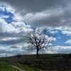 brightskies3